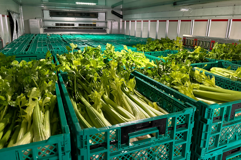 「北海道産野菜のスペシャリスト」がお客様の事業をサポート