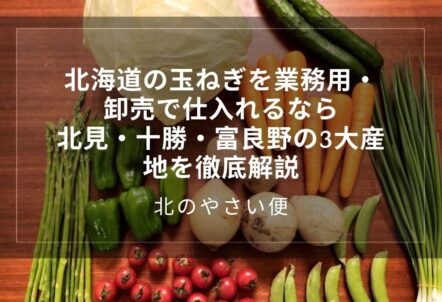 北海道の玉ねぎを業務用・卸売で仕入れるなら｜北見・十勝・富良野の3大産地を徹底解説【北のやさい便】