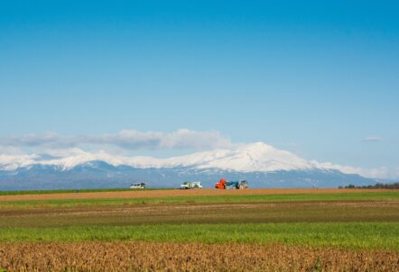 北海道の広大な農地で育てられる野菜たち