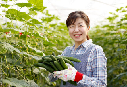 北海道産直野菜で魅せる業務用仕入れの新定番