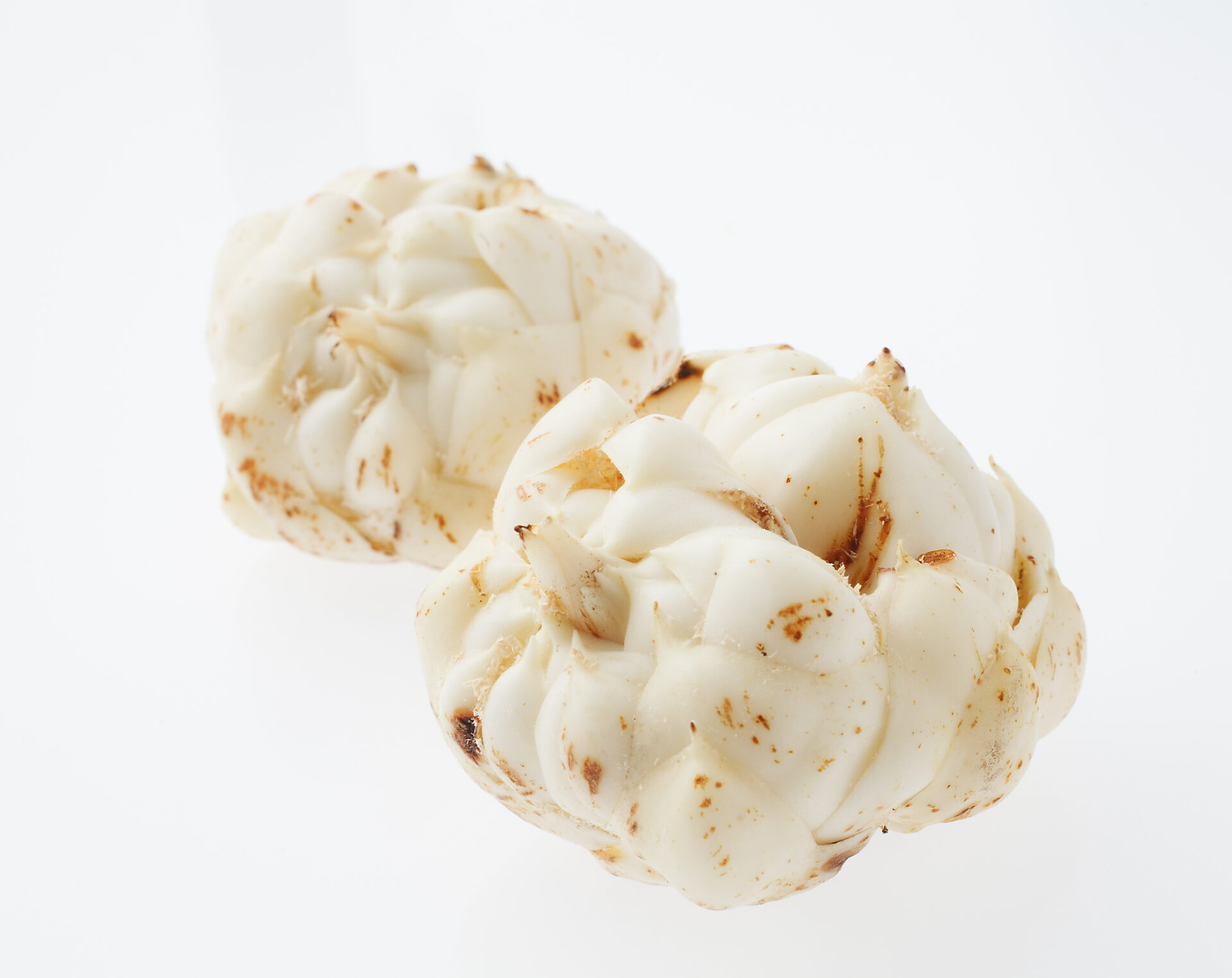 北海道ゆりねとは？名前の由来から調理法まで完全ガイド