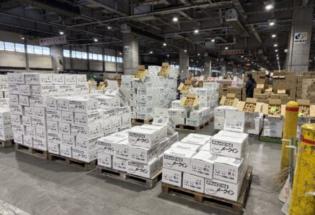 用途別じゃがいも人気品種｜業務用選択ガイド