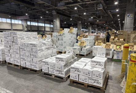 北海道産じゃがいも仕入れ｜旬・収穫時期・出荷情報まとめ