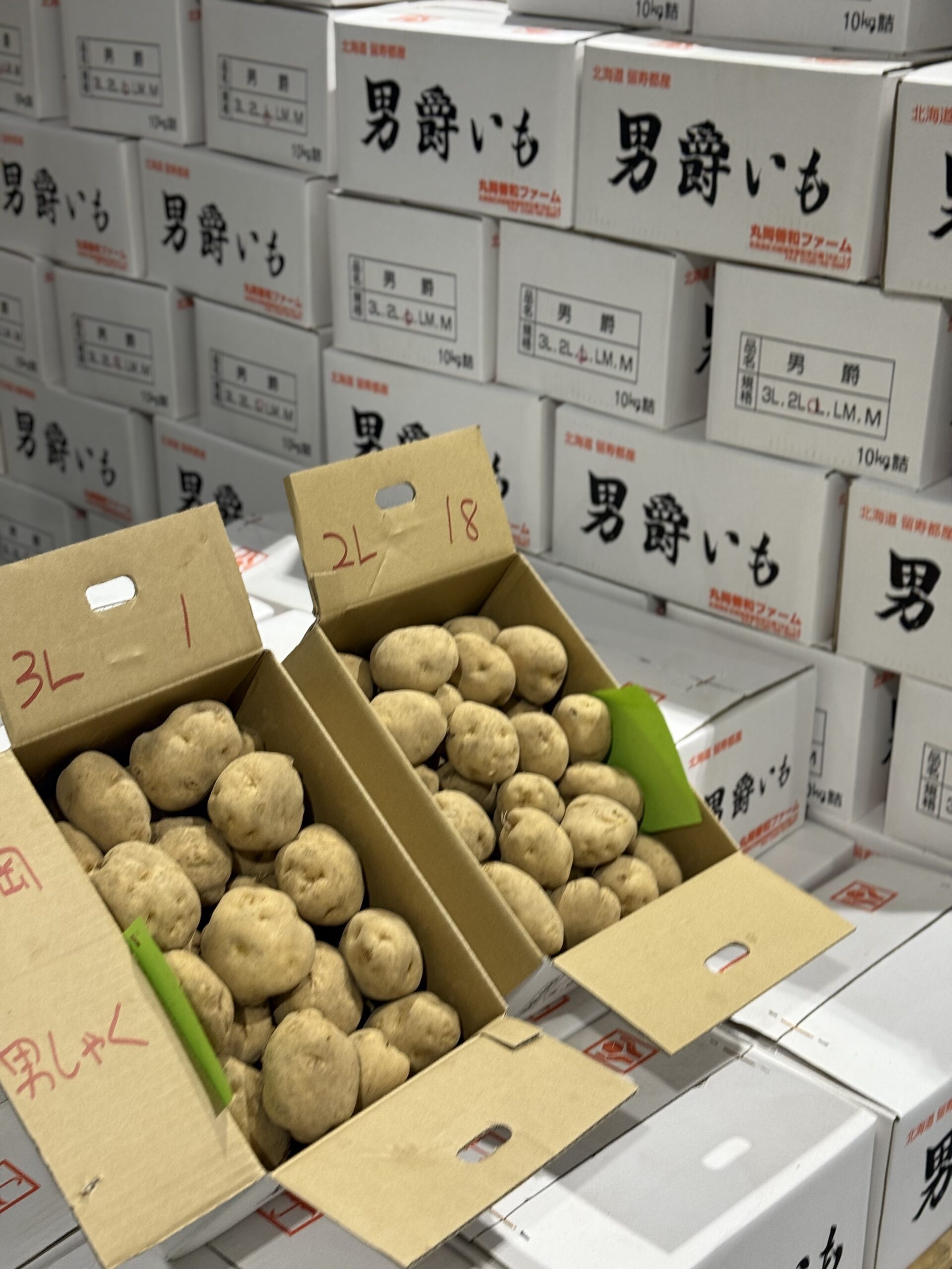 じゃがいも在庫量 じゃがいも人気品種ランキング【2025年業務用バイヤー向け完全ガイド