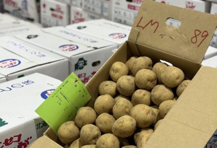 北海道産じゃがいも仕入れ事情について