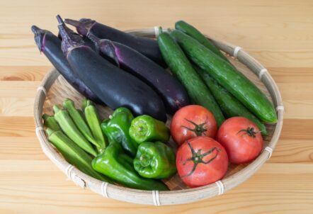 北海道 夏野菜 徹底解説 – 成長期を活かした業務用調達戦略