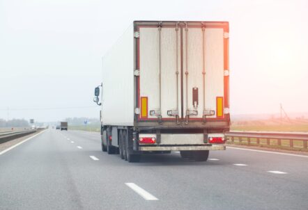 北海道の広大な農地で育つ高品質野菜を業務用に直送
