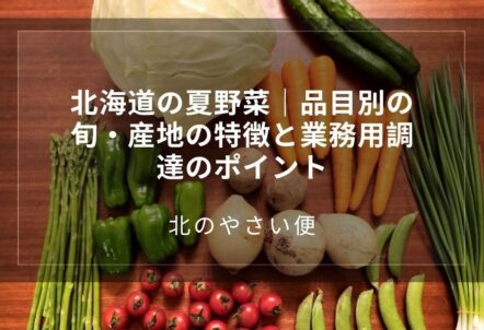 北海道の夏野菜｜品目別の旬・産地の特徴と業務用調達のポイント