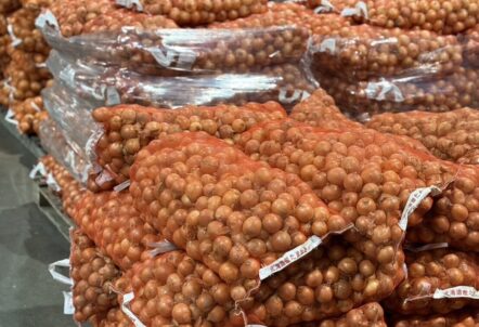 玉ねぎ 仕入れ 札幌で原価率30%改善!飲食店が選ぶ北海道産の5つの理由【2025年版】