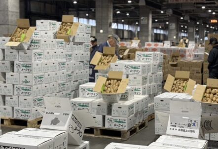 2025 じゃがいも 値上がりの要因を示すグラフ