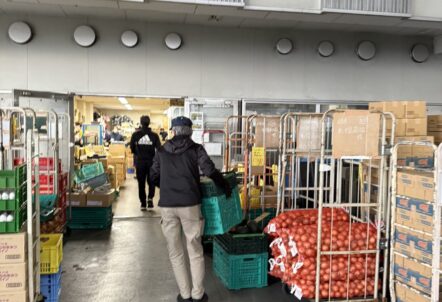 小ロット対応で高品質な北海道産野菜を提供する北のやさい便