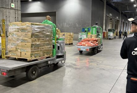 業務用野菜 長いもの年間調達計画、規格カスタマイズ、物流設計など、仕入れ実務のご相談は北のやさい便へ