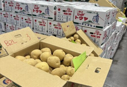 冷凍 じゃがいも 業務用 の活用場面
