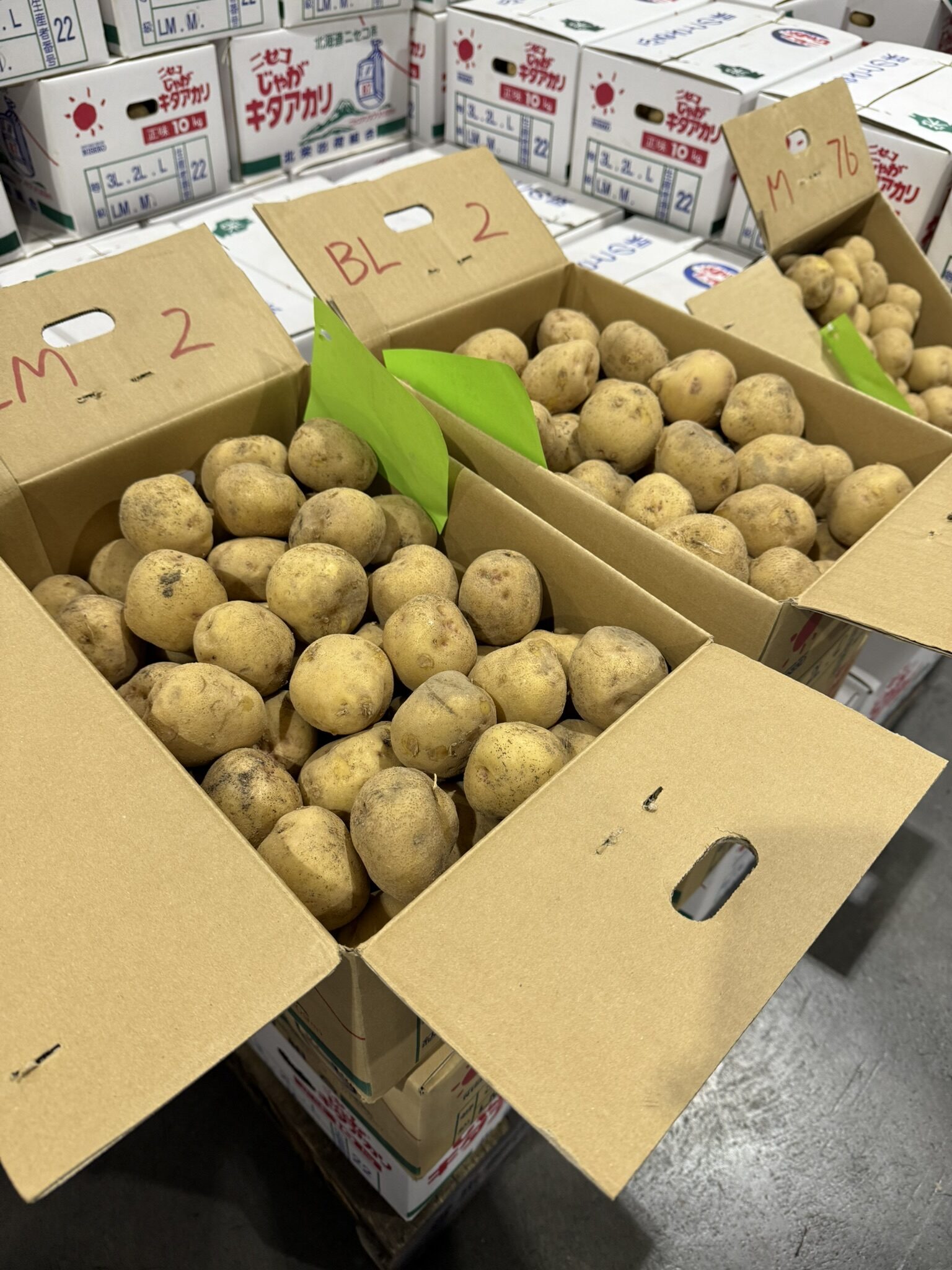 じゃがいも在庫量 2025 じゃがいも値上がりの理由と対策｜業務用仕入れのポイントを解説