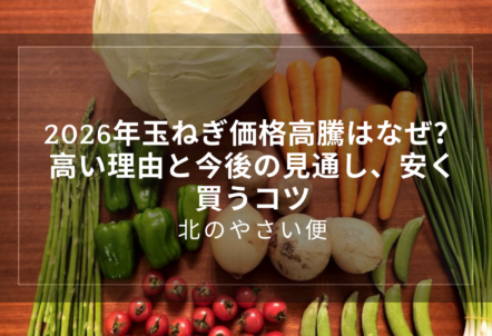 2026年玉ねぎ価格高騰はなぜ?高い理由と今後の見通し、安く買うコツ