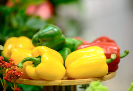 業務用野菜 パプリカの国産・輸入比較と月別価格推移グラフ