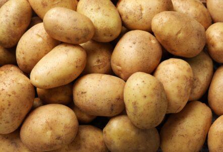 じゃがいも 価格高騰が外食の原価を直撃。代替食材の活用例（さつまいも・かぼちゃ・里芋）