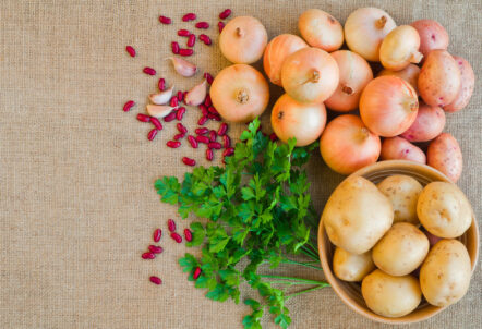 野菜 卸 札幌エリア向け産地直送の新鮮な北海道産野菜