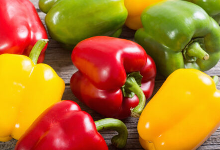 業務用野菜 パプリカ|仕入れ担当者が知るべき調達・規格・国産化動向の実務