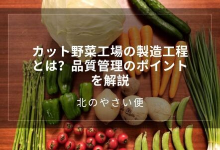 カット野菜工場の製造工程とは?品質管理のポイントを解説