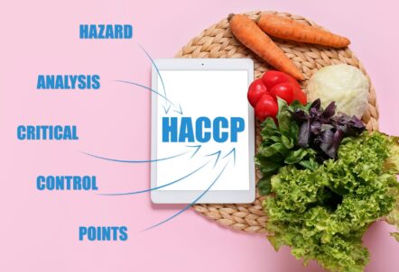 HACCP認証取得のカット野菜工場|徹底した衛生管理体制と品質保証