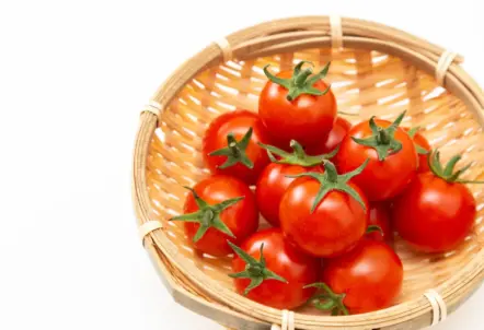 ミニトマトの業務用仕入れ|安く仕入れる方法とおすすめの仕入れ先