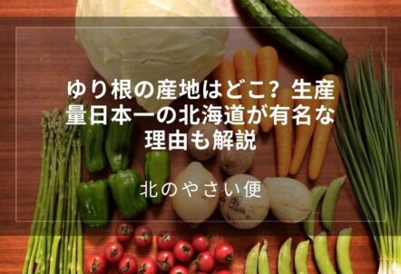 ゆり根の産地はどこ?生産量日本一の北海道が有名な理由も解説
