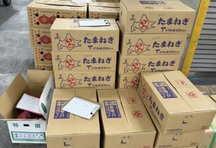 卸売市場を経由せず産地直送で鮮度を保つ玉ねぎ流通