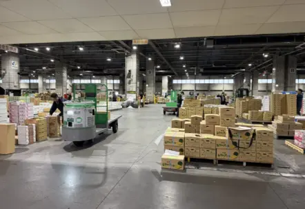 等級とサイズ別に箱詰めされて出荷される長芋