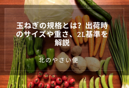 玉ねぎの規格とは?出荷時のサイズや重さ、2L基準を解説
