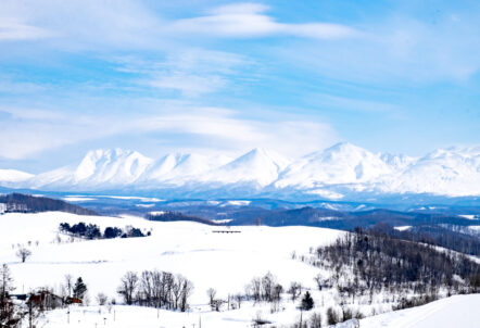 保存性の高い冬野菜を育てる北海道の厳しい冬の気候