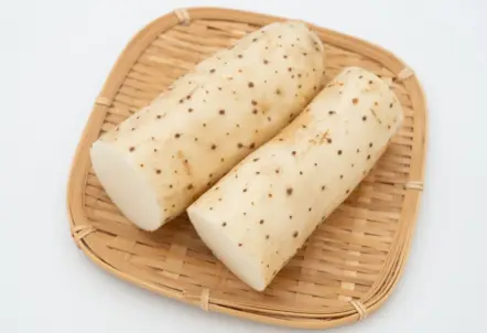 長芋の価値を左右する主な規格の基準