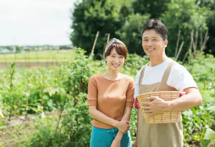 産地直送で新鮮なパクチーを配送する北のやさい便