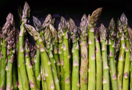 アスパラガスの規格とは？北海道産のサイズや等級の見分け方を解説