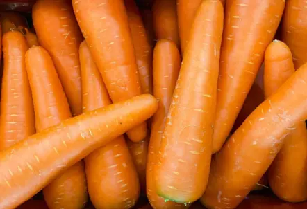 新聞紙で包みポリ袋に入れて冷蔵保存する