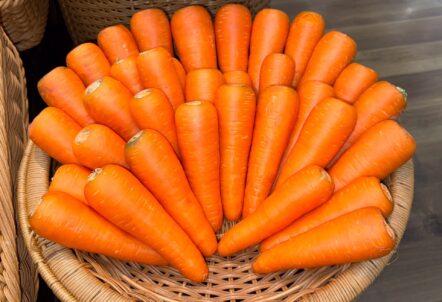 甘みが強く形が揃った向陽2号のにんじん