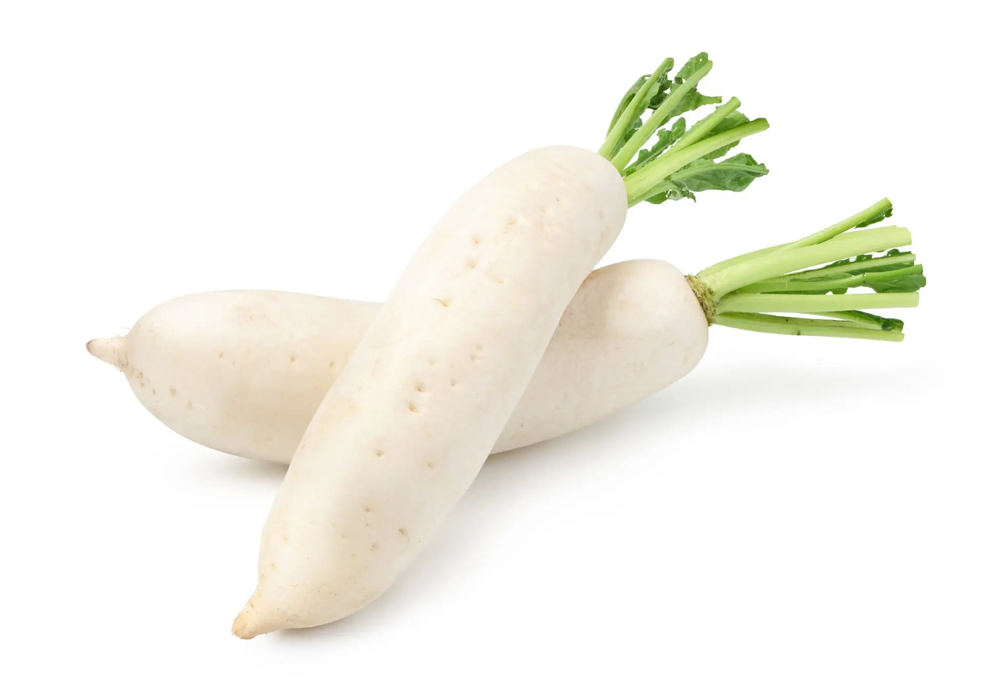 大根の規格とは 1本 カットの重さやサイズを解説