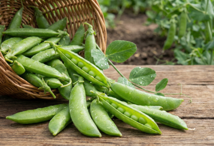 スナップエンドウとスナックエンドウの違いは？実は同じ野菜！