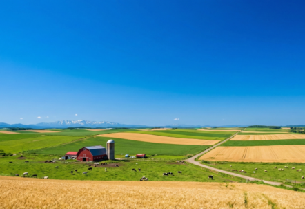 北海道の豊かな大地と農業風景