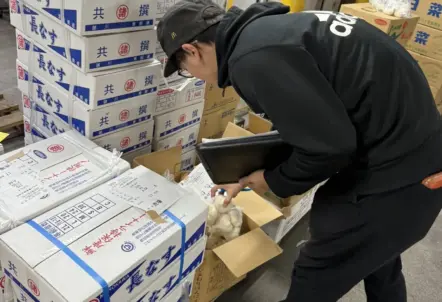 高品質な野菜と規格外野菜を提供する北のやさい便