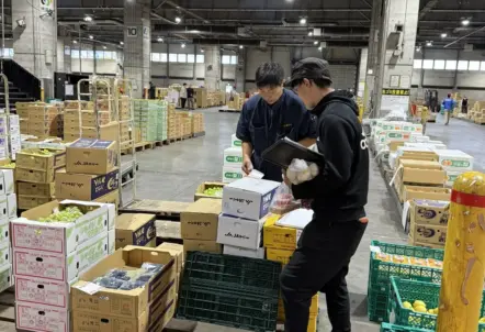 飲食店の野菜仕入れ見直しで選ばれる北のやさい便