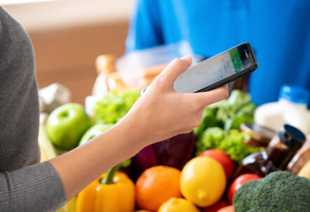 北海道の野菜定期便|農家直送で安い!おすすめサービス比較