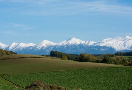 広大な農地で土づくりからこだわった栽培