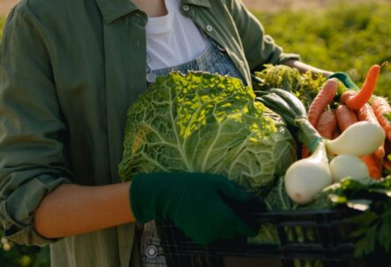 北海道の野菜を農家直送でお取り寄せ！新鮮で美味しい旬の味覚