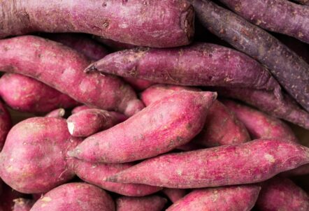 高品質で鮮度の高い北海道産さつまいも