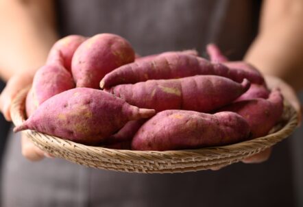 業務用さつまいもの仕入れ先選び