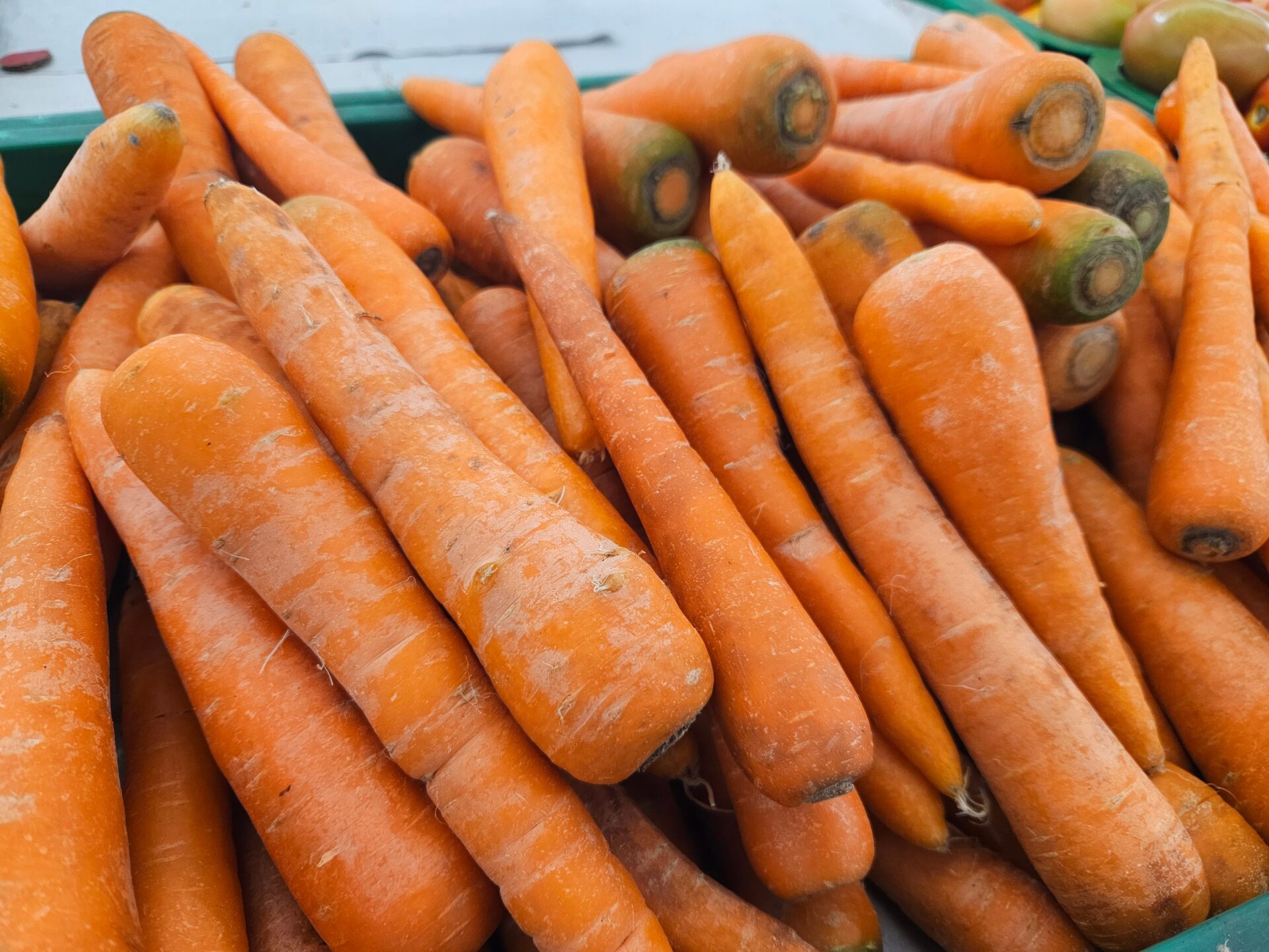 にんじんを卸価格で大量仕入れ｜業務用の産地直送通販