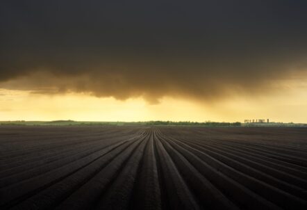 天候不順の影響を受ける農作物