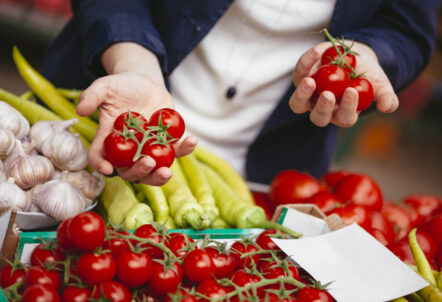 業者選定で品質や鮮度を確認するサンプルチェック