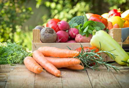 野菜ロス削減をサポートする北海道産野菜